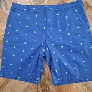 IZOD Stretch Saltwater Blue Limes Chino ShortsWaist 38 Inseam 9.5 - Picture 1 of 4