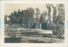 1943 Egypt Ismailia Botanical Gardens to bust 3.5x2.5" Orig Photo 