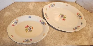 Vintage O. P. CO Syracuse China Oval Serving Platter Set Flowers Floral Pattern - Picture 1 of 9