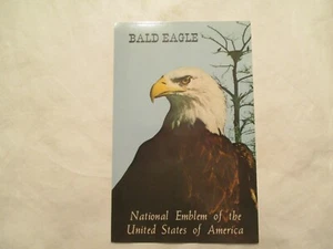 Cartolina Aquila Calva Emblema Nazionale degli Stati Uniti - Foto 1 di 2