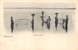 Sierra Leone - FREETOWN - Fishing shrimps (spelled shrims) - Publ. unknown - Picture 1 of 2