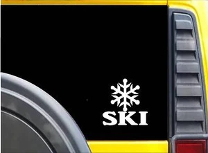 Calcomanía de esquí para copo de nieve K640 6 pulgadas - Imagen 1 de 1