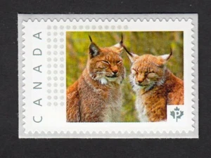 LYNX PAAR = Katzen = Bild Porto postfrisch Briefmarke Kanada 2016 [P16/01-2lx4/3] - Bild 1 von 2