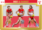 2023 AFL Teamcoach Sydney Swans Gold Best & Fiarest BF-16 Swans