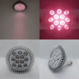 24W Infrared 805~810nm PAR38 LED Lamp Spot Light Bulb F night vision Therapy E27 - Picture 1 of 7