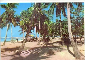 CP Antilles - Plage aux Antilles - Imagen 1 de 2
