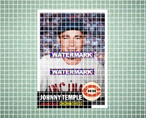 Johnny Temple Cincinnati Reds 1953 Stil individuelle Baseball Kunstkarte - Bild 1 von 2