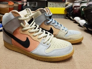Dunk High Pro SB 'Spectrum' US11 - Picture 1 of 8