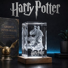 Lord Voldemort - Harry Potter 3D Kristall RGB-LED Lampe mit Premium Lasergravur