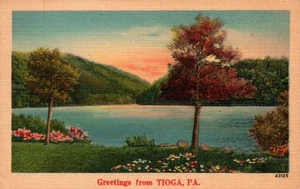 POSTKARTE GRUSS AUS TIOGA PENNSYLVANIA - Bild 1 von 2