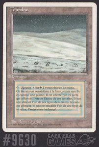 Tundra (French, White Border) - #9630, Heavy Play, English, Revised Edition - Picture 1 of 1