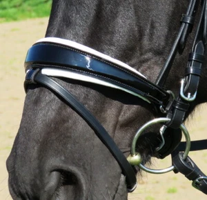FSS SQUARE Raised SWELLED TAPERED SIDE PATENT Noseband ROLLED CHEEKS TWIN BUCKLE - Picture 1 of 1