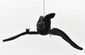 HANSA SCHWARZE FLEDERMAUS HÄNGEND 37 BH4793 NEU Realistische Plüschtiere aus Japan - Bild 1 von 9