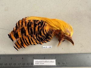 Sebastiani Golden Pheasant Head/Cape/Tippets Lot-SF 218 - Picture 1 of 4