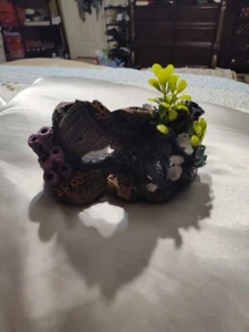 ๐ Aquarium Decor Pieces - Picture 1 of 10