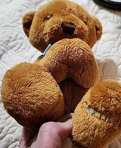 Peluche Kids Praying Bear 2003 Bright Inspirations "Ahora ponme a dormir" - Imagen 1 de 12