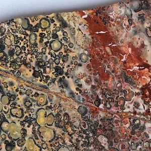 Orbikuläre Leopardenhaut Jaspis Lapidarplatte Mexiko 229 Gramm - Bild 1 von 19