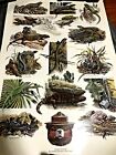 Smokey The Bear Poster Leapin' Lizards Identification USFS Fire Prevention 20x30