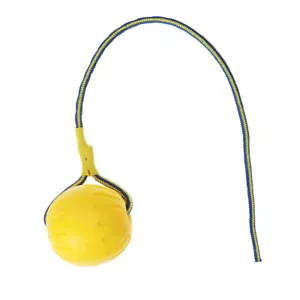 Pet Hollow EVA Ball with Rope Dog Ball Launcher Thrower for Pets Training - Picture 1 of 11