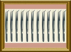 12 fórceps de aderezo de algodón universitario de 6" instrumentos dentales sede acero inoxidable - Imagen 1 de 1