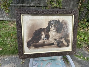 Antike Lithographie Cavalier King Charles Spaniel von M H lang im Originalrahmen - Bild 1 von 11
