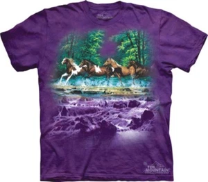 The Mountain Spring Creek Run Short Sleeve Paint Horse T-Shirt (Sm - 5x) - Picture 1 of 2