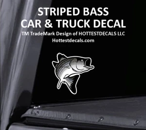 Chesapeake Bay Fish DECAL STICKER Car Window Truck Boat Trailer Yeti Cooler - Picture 1 of 7