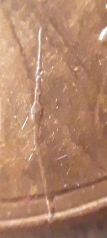 2010 P Lincoln Shield Cent Thick Die Crack on Obverse Cover