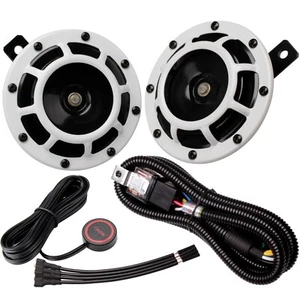 FARBIN Electric Truck Horn 12v Loud Metal Twin Disc Horn Kit with Button Switch - Foto 1 di 12