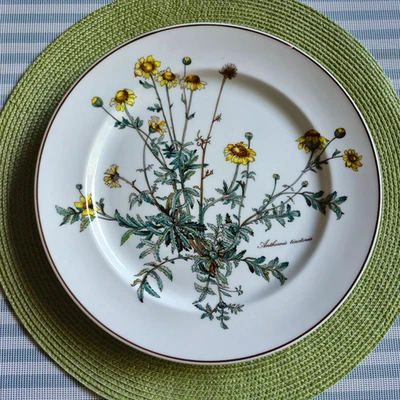 V&B BOTANICA  Speiseteller ohne Wurzel  Ø 26 cm  2. Wahl (Linie)  VILLEROY&BOCH - Bild 1 von 4