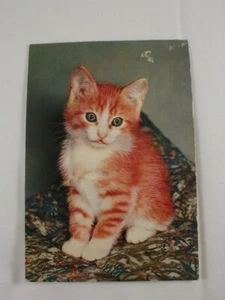 Kitten Squeeze Action Sound Postkarte "Miau" Vintage funktioniert gut! Katze Frankreich - Bild 1 von 4