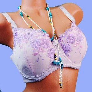 BNWT 5 color FULL COVERAGE embroidered Plus Size Bra 38D 38DD 42DD 44DD ORNELLA - Picture 1 of 3