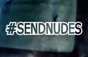 #SEND NUDES Funny Novelty Internet Meme Car Vinyl Die Cut Sticker Decal ref:2 - Picture 1 of 2