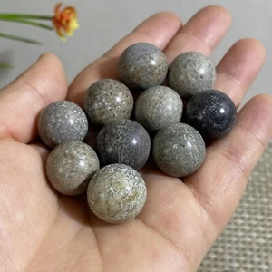 10 piezas 67 g ¡Top! Espécimen de hueso de dinosaurio pulido natural Madagascar - Imagen 1 de 8