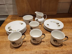 Juego de té Royal Doulton Westwood tazas platillos jarra de leche azucarero platos laterales - Imagen 1 de 17