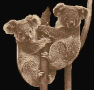 Koala Bears in Tree Cross Stitch Pattern of Boy + Photo MEDIUM Level Medium Size - Bild 1 von 5