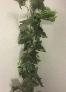 New Large Leaf Variegated Marengo Ivy Garland Artificial Silk Flowers 6ft - Picture 1 of 2