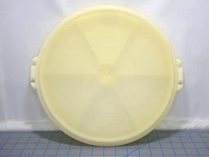 Tupperware 405 w/Lid 224 Susan Divided Veggie Fruit Party Tray Tupper Seal - Picture 1 of 7