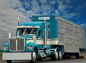 1/64 DCP KENWORTH W990 76" SLEEPER & WILSON CATTLE TRAILER - Picture 1 of 10