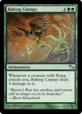 MTG Raking Canopy x1 NM Shadowmoor