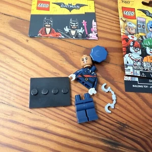 Lego 71017 FEHLTEILE Batman Movie Sammlerstück Minifigur #6 Barbara Gordon - Bild 1 von 2