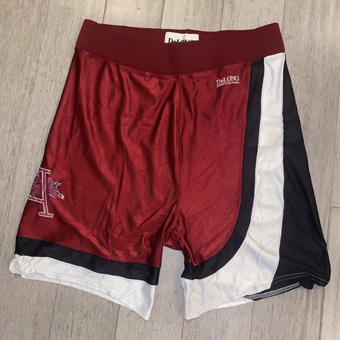 Arkansas Razorbacks Shorts Vtg 90s Basketball Athletic team DeLong Mens LARGE Cover