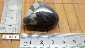 JASPE FEUILLE D'ARGENT pierre roulee TOP mineraux lithotherapie reiki collection - Picture 1 of 2