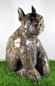 12 kg Giant Natural Brecciated Jasper Stone Hand Carved Exquisite Dog statues - Picture 1 of 11