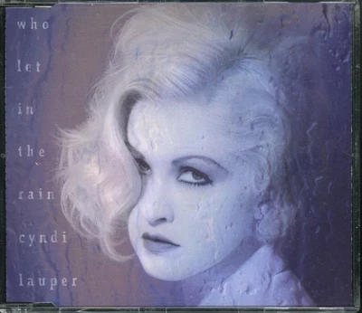 CYNDI LAUPER - Who Let In The Rain (CD Single) (1993) [M/NM] - Image 1 of 3