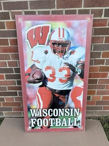 Ron Dayne Camp Randall Stadium Display NFL NCAA WI Badgers Football Decor 1 Of 1 - Picture 1 of 23