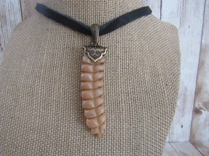 Rattlesnake Rattle Pendant Snake Necklace Spirit Animal Bone Jewelry Boho N6063 - Picture 1 of 5