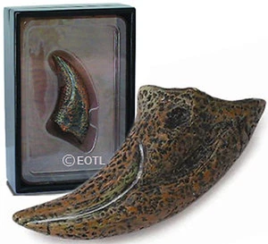 NEW CollectA 89280 Replica Model Tyrannosaurus T-Rex 1st Toe Claw - Picture 1 of 1