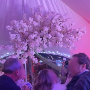 Artificial cherry Blossom Tree with 3 .2m Curved Trunk - Picture 1 of 5