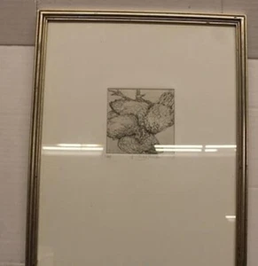 Group Of 4 Quail bird Original Vintage Etching artist SIGNED & Dated 2009 - Picture 1 of 5